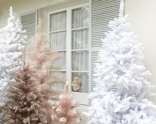 HOLIDAY 2015