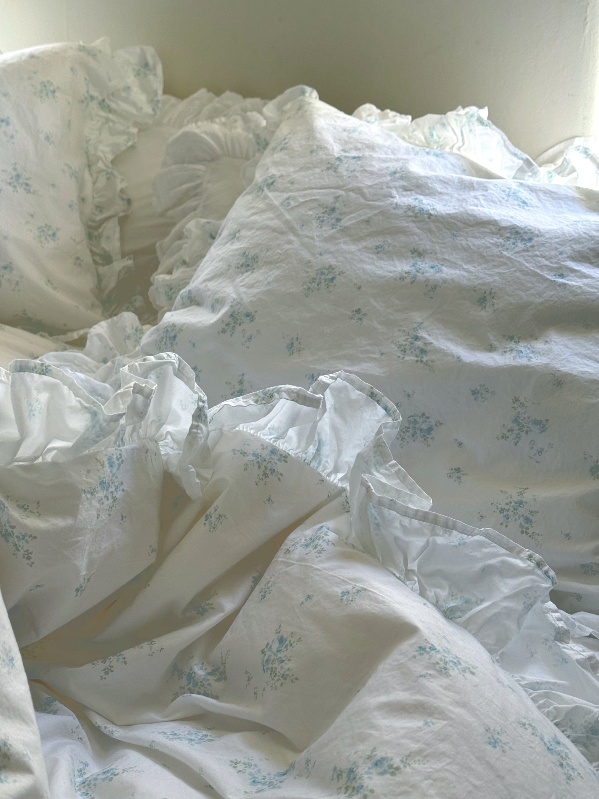 Rachel Ashwell　shabby chic カーテン 2点セット Rachel Ashwell Shabby Chic Twin Quilt Sham Set WHITE SHADOW