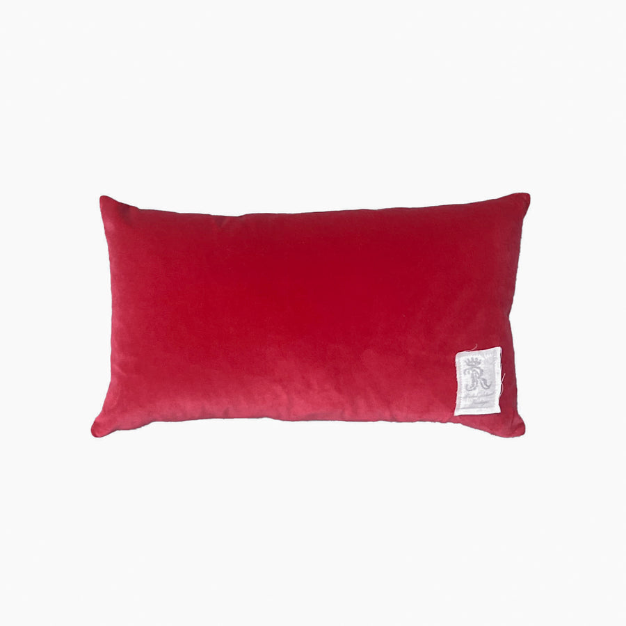 Trianon Rose Teal with Sage Velvet Vintage Pillow