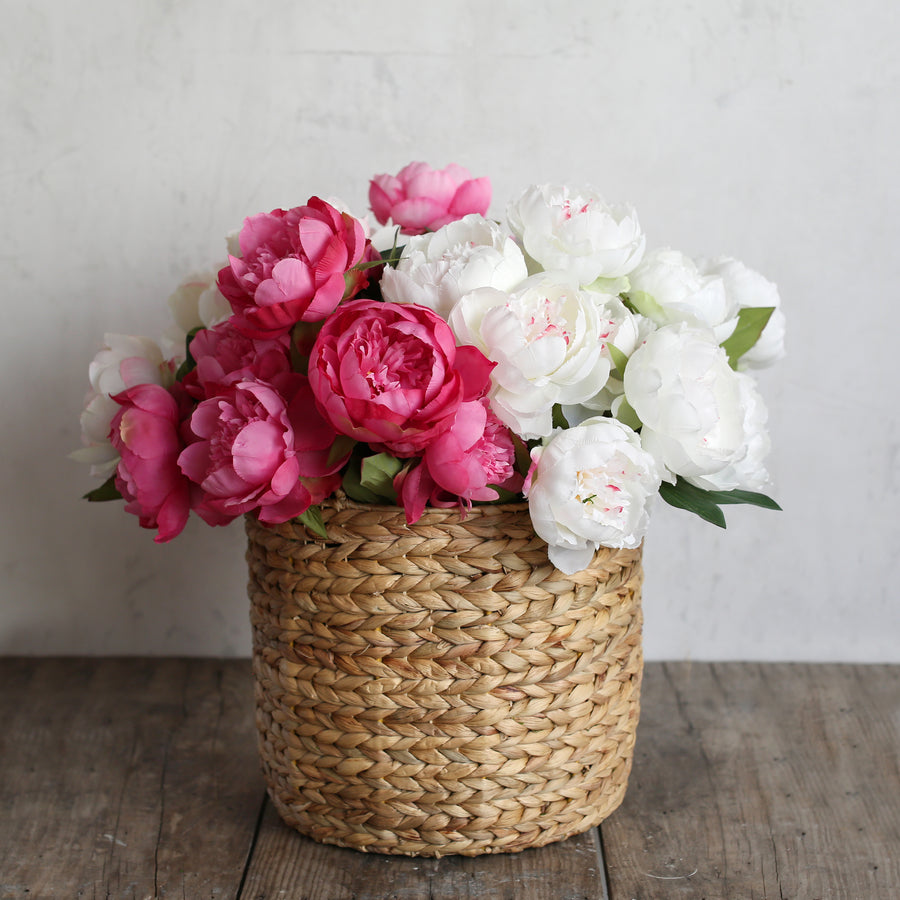Shabby Chic Forever Florals - My Fair Lady